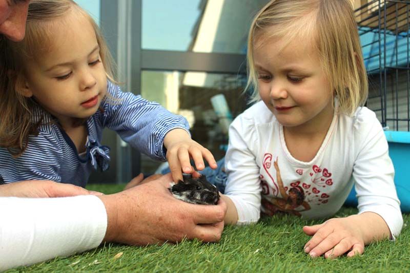 Knutselen op het dagverblijf is voor kinderen een goede oefening voor de motoriek;